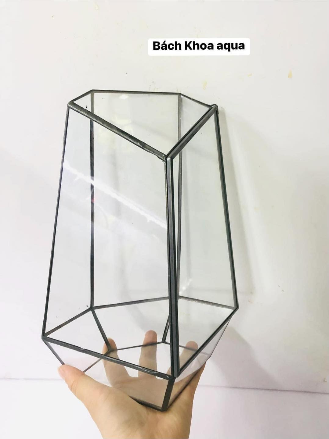 Bể kính đa giác Terrarium bán cạn